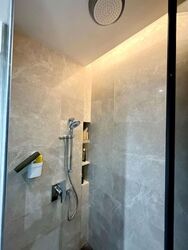 Amber Park (D15), Condominium #556155791